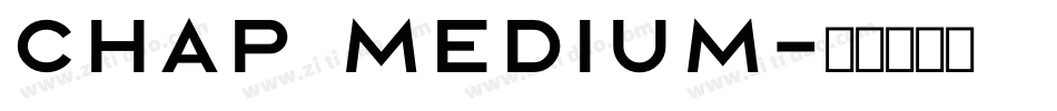 Chap Medium字体转换